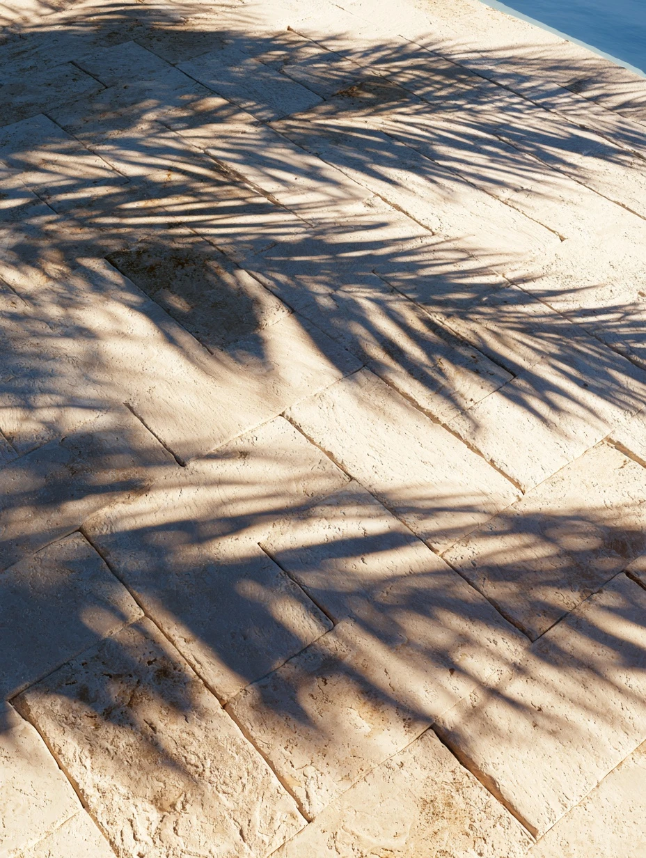 Palm shadows across a pale travertine pool deck running down to blue water